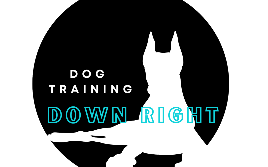 Down Right Dog Training, LLC